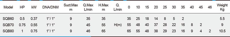 جدول مشخصات فنی و وزن پمپ آب استریم مدل SQB80