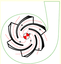 انواع پروانه